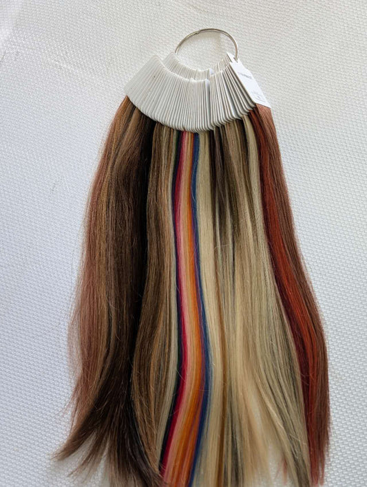 Professional color chart 50 colors 13 inch